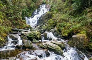Obraz nr 3 z atrakcji Killarney Highlights Walk - przejażdżka bryczką po jeziorze Castle Lake w Killarney, przesłany przez organizatora