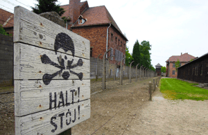 Image N°4 de Cracovie : visite guidée ou visite autonome d'Auschwitz-Birkenau activité à Oswiecim, publiée par le prestataire