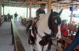 image n.4 of Tour Privado: Guatape Piedra Replica Peñol Alto Chocho Barco activity in El Peñol, uploaded by supplier