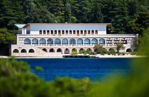 Immagine nº 4 di Fazana: Tour panoramico in barca del Parco Nazionale di Brioni attività a Istarska, caricata dal fornitore