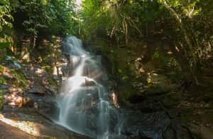 image n.4 of Foz do Iguaçu: Guided Canoeing and Waterfalls Expedition activity in Ilhabela, uploaded by supplier