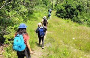 image n.4 of From Oaxaca: Apoala Magic Waterfalls Hike & Swim Adventure activity in Oaxaca de Juarez, uploaded by supplier