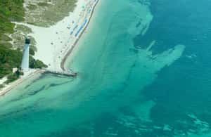 image n.3 of Miami Beach: Private Luxury Airplane Tour with Champagne activity in Miami, uploaded by supplier