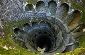 Image N°3 de Depuis Lisbonne : Visite d'une jounée de Sintra et du Palais de Pena activité à Sintra, publiée par le prestataire