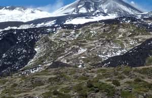 image n.3 of Etna: Etna tour departing from Catania activity in Catania, uploaded by supplier