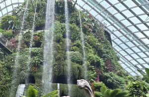 imagen n.º 4 de Singapur: tour de la ciudad y Jurassic World en Gardens by the Bay actividad en Singapur, subida por el proveedor