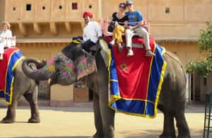 imagem n.4 de De Délhi: 6 dias de carro em Délhi, Jaipur, Agra e Ranthambore atividade em Nova Delhi, carregada pelo fornecedor