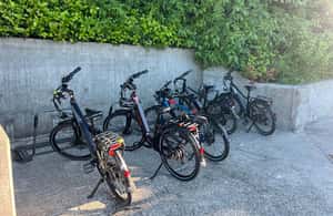 imagem n.3 de Seattle: passeio de bicicleta de 3 horas pela Emerald City atividade em Seattle, carregada pelo fornecedor
