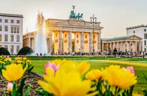 imagen n.º 3 de Berlin WelcomeCard: Descuentos y transporte Zonas de Berlín (AB) actividad en Berlín, subida por el proveedor