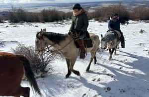 image n.3 of Puerto Natales: Horseback Riding to Dorotea Fjord Lookout activity in Puerto Natales, uploaded by supplier
