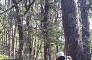 image n.3 of Lago Puelo: Andinean Day Hike activity in Chubut Province, uploaded by supplier