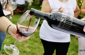 imagem n.4 de Assis: Degustação de vinhos, harmonização gastronômica, caminhada nos vinhedos atividade em Assis, Itália, carregada pelo fornecedor