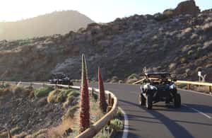 billede nr.4 af aktiviteten Tenerife: Teide Buggy Tour om morgenen eller ved solnedgang i Kanarieøerne, uploadet af udbyder