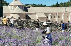 imagem n.4 de De Marselha: Tour particular personalizado de um dia pela Provença atividade em Avignon, carregada pelo fornecedor