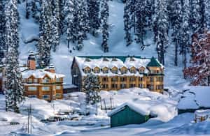 image n.3 of 2 Nights 3 Days Sonmarg Snowfall Tour activity in Jammu and Kashmir, uploaded by supplier