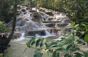 imagem n.4 de Tour particular para Dunns River e Blue Hole saindo de Montego Bay atividade em Ocho Rios, carregada pelo fornecedor