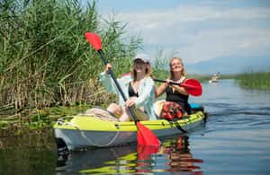 image n.3 of Skadar Lake: Individual Kayaking Experience activity in Podgorica Municipality, uploaded by supplier
