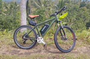 image n.4 of Bali: Jatiluwih Rice Terraces 1 Hour Electric Bike Tour activity in Ubud, uploaded by supplier