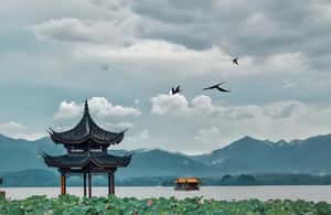 image n.3 of 7 hours Hangzhou Tour Itinerary activity in Hangzhou, uploaded by supplier