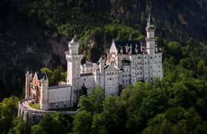 imagen n.º 4 de Desde Múnich: Excursión de un día al Castillo de Neuschwanstein actividad en Schwangau, subida por el proveedor