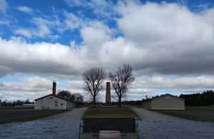 imagen n.º 3 de Berlín: Visita al Campo de Concentración de Sachsenhausen y Potsdam actividad en Oranienburg, subida por el proveedor