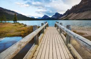 imagem n.4 de De Canmore/Banff: Experiência na Icefields Parkway atividade em Alberta, carregada pelo fornecedor