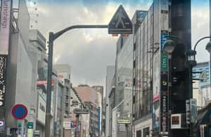 Immagine nº 4 di Giappone: Tour privato di Tokyo e della campagna con guida attività a Tokyo, caricata dal fornitore