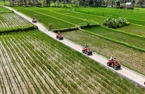 Obraz nr 3 z atrakcji Ubud: Wycieczka z przewodnikiem po quadach ATV w Ubud, przesłany przez organizatora