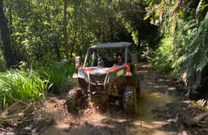 image n.4 of Madeira: Off-Road Buggy Driving Experience activity in Madeira, uploaded by supplier