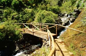 billede nr.4 af aktiviteten Madeira: Solopgang ved Pico do Arieiro + 2 vandreture - PR1 og PR3 i Curral das Freiras, uploadet af udbyder