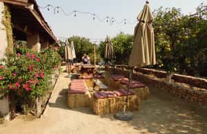 image n.4 of Ensenada: Guadalupe Valley Wine Route Private Tour activity in Ensenada, uploaded by supplier