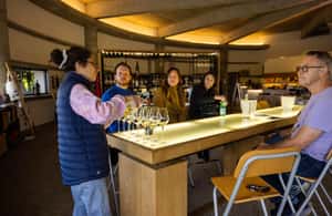 image n.3 of Médoc Morning Wine Tour - Winery & Tastings activity in Bordeaux, uploaded by supplier