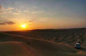 image n.4 of Desert Safari, Sunset & Sand Bashing (Rub Al Khali Desert) activity in Dhofar, uploaded by supplier