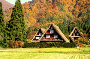 image n.3 of Nagoya: Hida Takayama & Shirakawa-go Tour w/Optional Lunch activity in Shirakawa, uploaded by supplier