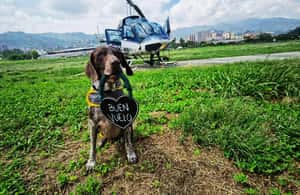 slika br. 3 iz kolekcije Medellin helikopterom aktivnosti u mjestu Medellin, prenio opskrbni partner