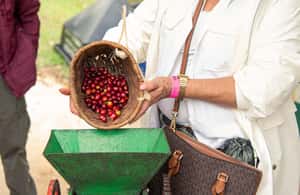 slika br. 4 iz kolekcije Obilazak uz kavu Salento-Ocaso Farma- engleski obilazak aktivnosti u mjestu Salento, Kolumbija, prenio opskrbni partner