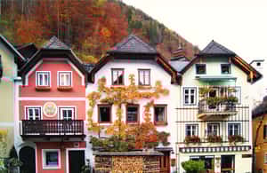 image n.3 of Vienna: Melk, Hallstatt, Salzburg and Mountains Lakes Tour activity in Vienna, uploaded by supplier
