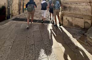 image n.4 of Alberobello & Matera Tour with Tasting and Physical Guide, from Bari activity in Matera, uploaded by supplier