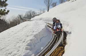 billede nr.4 af aktiviteten Stresa: Alpyland Alpine Coaster Ride på Mount Mottarone i Mottarone, uploadet af udbyder