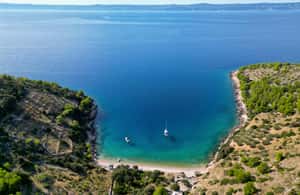 image n.3 of Makarska: Golden Horn Beach & Secluded Bays Speedboat Tour activity in Bol, uploaded by supplier
