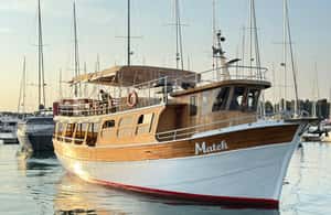 Bild Nr. 3 von Novigrad: Bootstour zur Delfinbeobachtung bei Sonnenuntergang mit Matek Aktivität in Novigrad, hochgeladen vom Anbieter