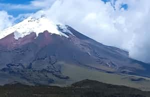 Immagine nº 4 di Vulcano Cotopaxi: escursione a cavallo di un'intera giornata per principianti attività a Cantone di Latacunga, caricata dal fornitore