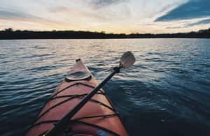 image n.3 of Houston: Kayak and Paddleboard Rental activity in Houston, uploaded by supplier