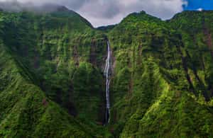 image n.3 of Kauai: Eco Adventure Helicopter Tour activity in Kapaʻa, uploaded by supplier