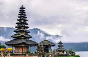 image n.4 of Tanah Lot-Nung Nung Waterfall-Jatiluwih and Bedugul activity in Tabanan, uploaded by supplier