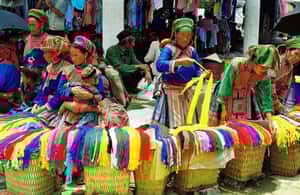 зображення №3 активності «Sapa: еко-пригоди Terrace Fields and Local Villages Trek» в такій локації: Північний В'єтнам, завантажене постачальником