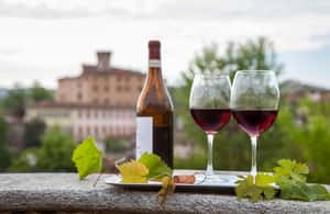 billede nr.3 af aktiviteten Fra Milano: Barolo-vinsmagning, Alba-tur og slotsbesøg i Milano, uploadet af udbyder