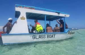 image n.3 of WATAMU,Snorkeling/dolphin spotting,seafood,mida creek cruise activity in Coast Province, uploaded by supplier