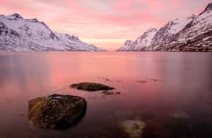 bild nr.3 av Tromsö: Fjordar och Sommarøyöarna med laxpicknick aktivitet i Tromsø, uppladdad av arrangören