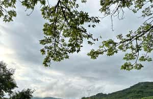 imagen n.º 4 de Excursión a Mazamitla desde Guadalajara con Mundo Aventura actividad en Jalisco, subida por el proveedor